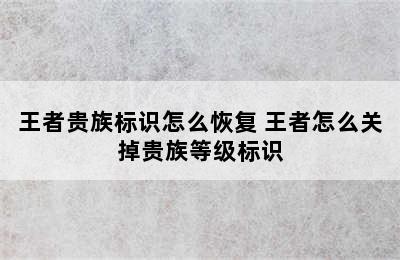 王者贵族标识怎么恢复 王者怎么关掉贵族等级标识